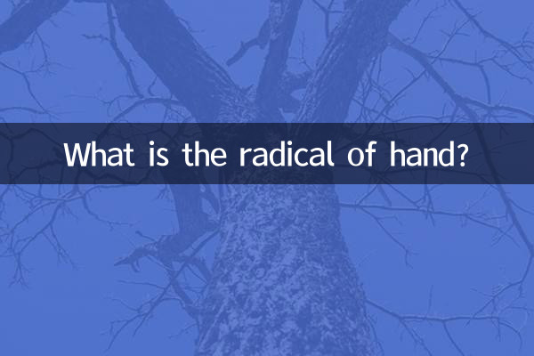 手的部首是什么偏旁