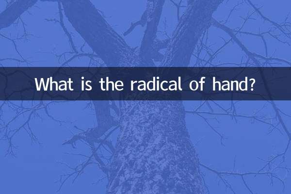 ما هو جذري اليد؟