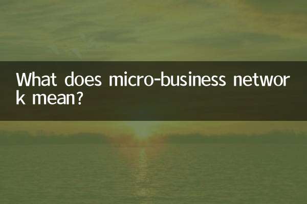 Que signifie le réseau de micro-entreprises ?