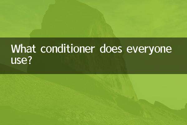 ¿Qué acondicionador usa todo el mundo?