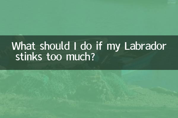 اگر میرے لیبراڈور میں بہت زیادہ بدبو آتی ہے تو مجھے کیا کرنا چاہئے؟