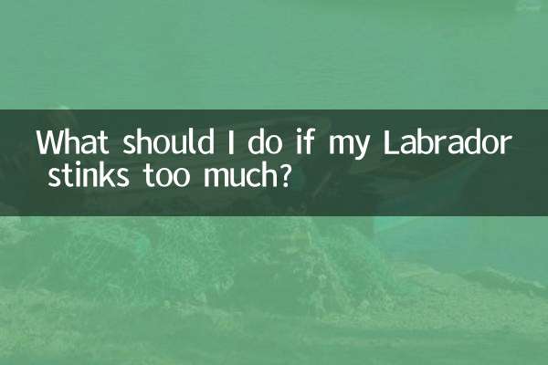 拉布拉多太臭怎麼辦