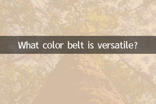 Welche Gürtelfarbe ist vielseitig?