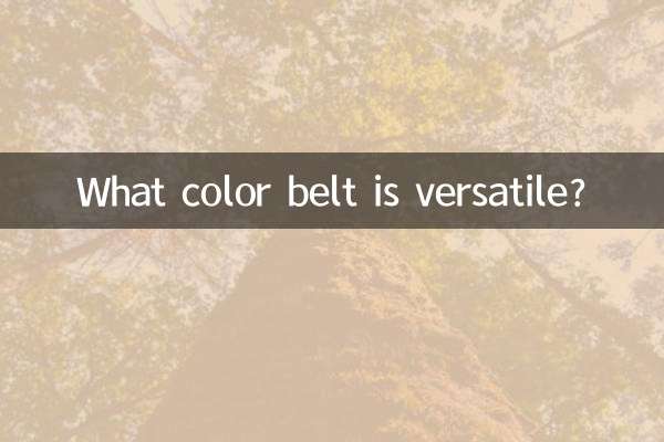 Di che colore è la cintura versatile?