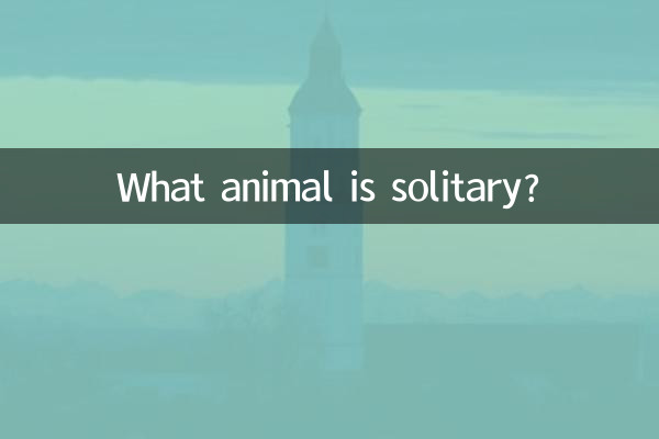 Quel animal est solitaire ?