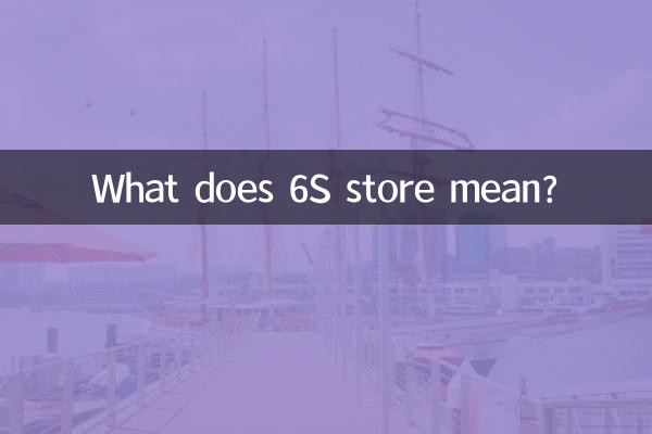 6S스토어는 무슨 뜻인가요?