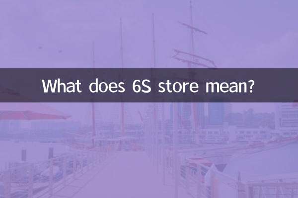 6S스토어는 무슨 뜻인가요?