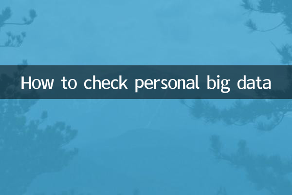 个人大数据怎么查