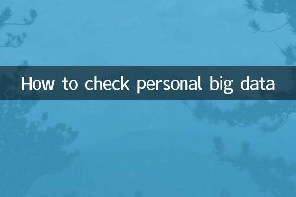 个人大数据怎么查