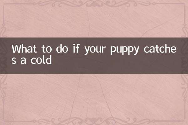 Cosa fare se il tuo cucciolo prende il raffreddore