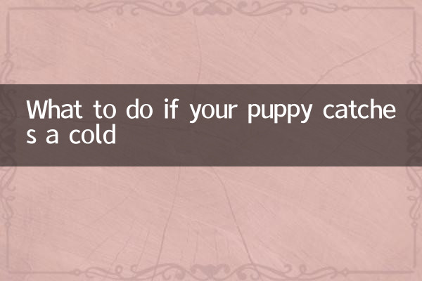 Cosa fare se il tuo cucciolo prende il raffreddore