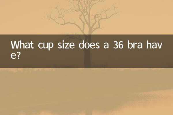 36 ब्रा का कप साइज़ क्या होता है?