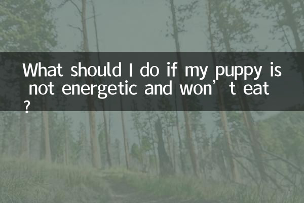 यदि मेरा पिल्ला ऊर्जावान नहीं है और खाना नहीं खाता है तो मुझे क्या करना चाहिए?