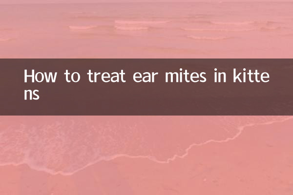 بلی کے بچوں میں کان کے ذرات کا علاج کیسے کریں