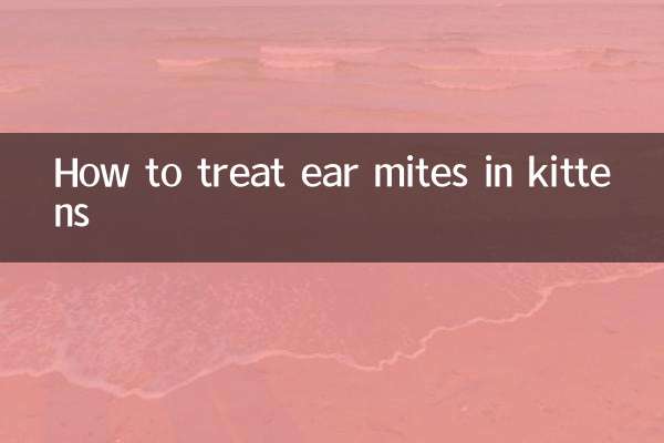 Cómo tratar los ácaros del oído en gatitos