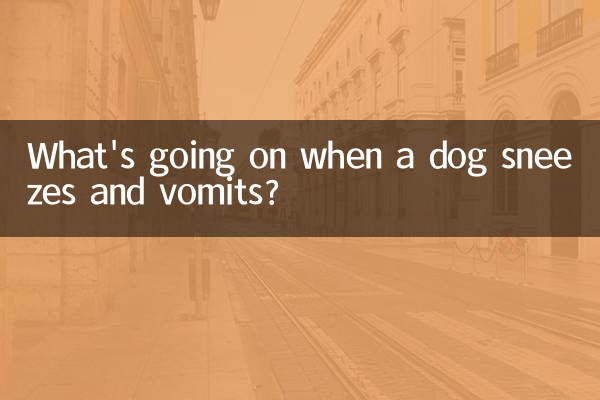 狗狗打喷嚏呕吐怎么回事