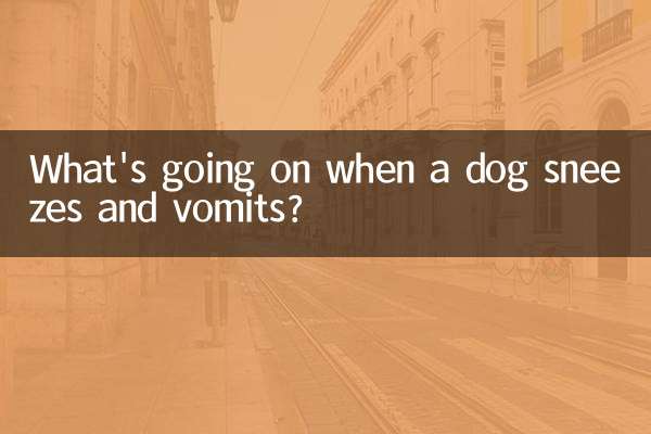 狗狗打喷嚏呕吐怎么回事