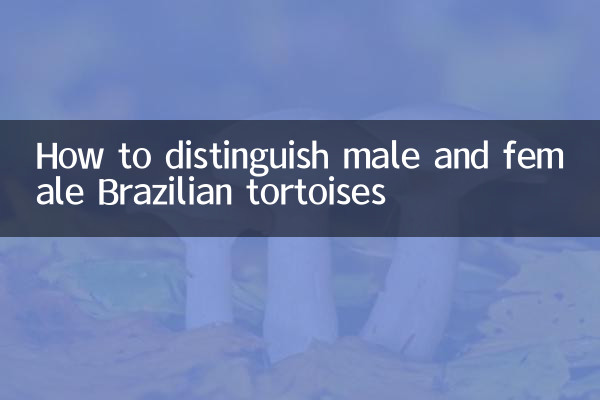 How to distinguish male and female Brazilian tortoises