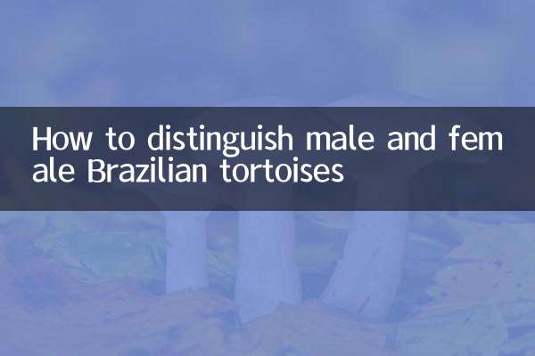 How to distinguish male and female Brazilian tortoises