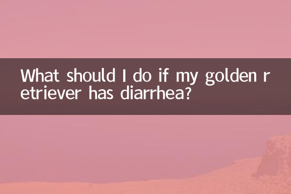 What should I do if my golden retriever has diarrhea?