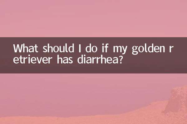 What should I do if my golden retriever has diarrhea?