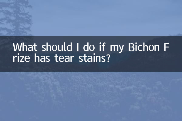 Que dois-je faire si mon Bichon Frise a des taches de larmes ?