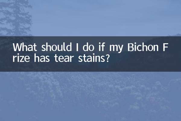 Que dois-je faire si mon Bichon Frise a des taches de larmes ?