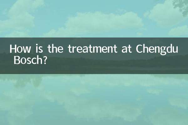 Comment se déroule le traitement à Chengdu Bosch ?