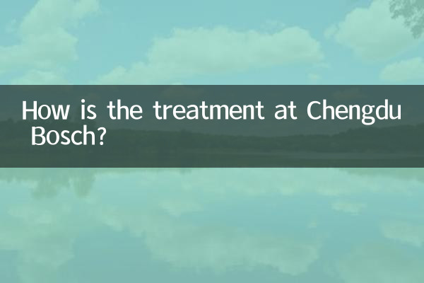 Comment se déroule le traitement à Chengdu Bosch ?