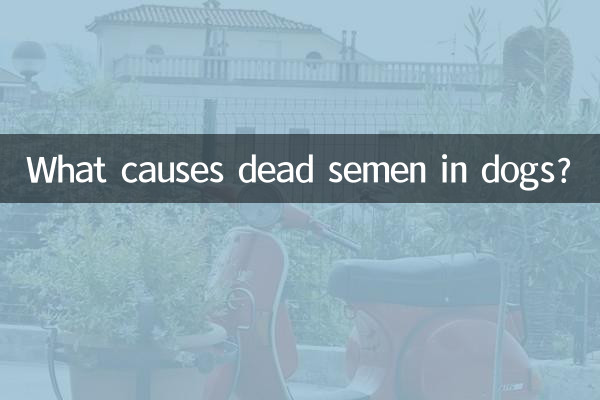 ما الذي يسبب السائل المنوي الميت في الكلاب؟