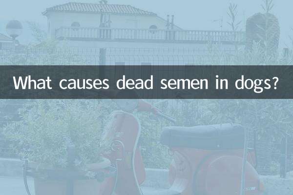 Cosa causa lo sperma morto nei cani?