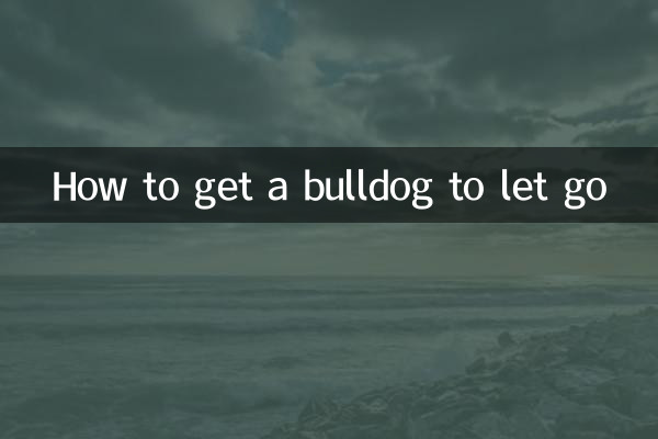 چگونه یک بولداگ را رها کنیم