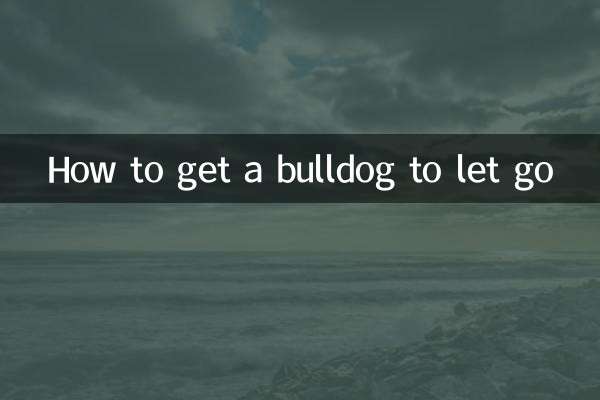 چگونه یک بولداگ را رها کنیم