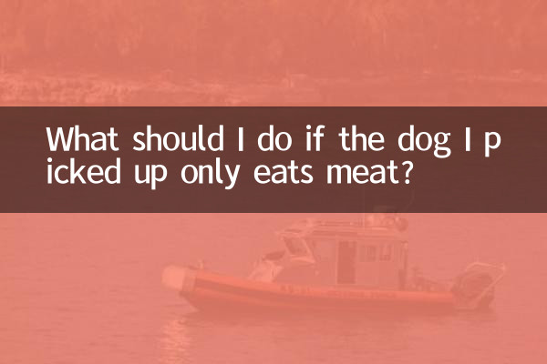Was soll ich tun, wenn der Hund, den ich abgeholt habe, nur Fleisch frisst?
