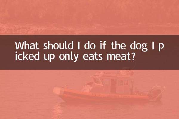 Что делать, если подобранная мной собака ест только мясо?