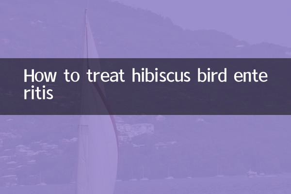 芙蓉鸟肠炎怎么治