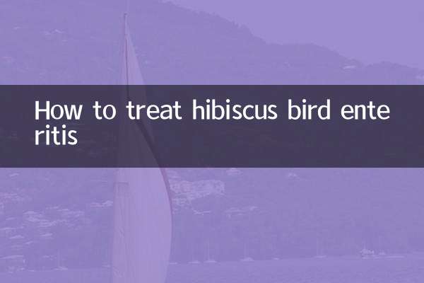 芙蓉鸟肠炎怎么治