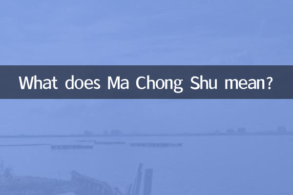Cosa significa Ma Chong Shu?