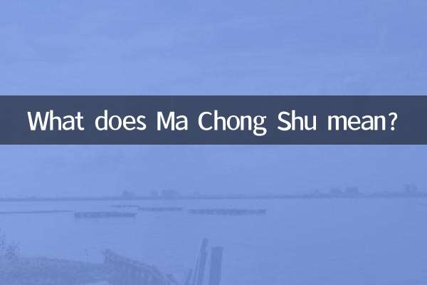 मा चोंग शू का क्या मतलब है?