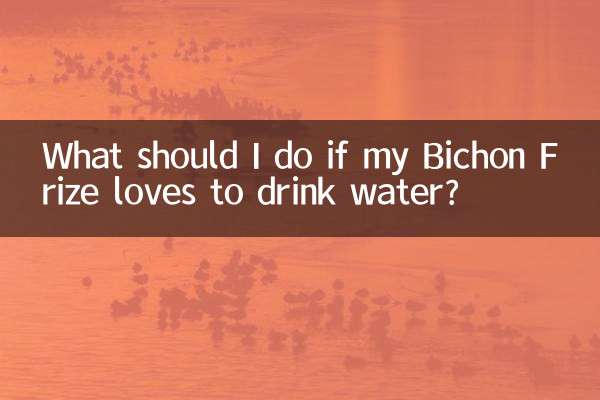 اگر Bichon Frize من عاشق نوشیدن آب است چه باید بکنم؟