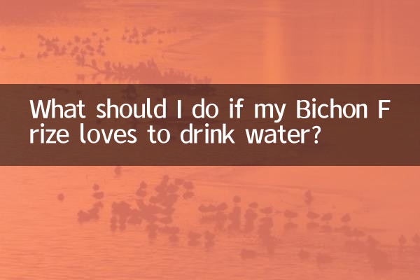 اگر Bichon Frize من عاشق نوشیدن آب است چه باید بکنم؟