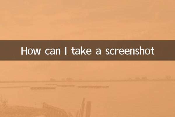 ¿Cómo puedo tomar una captura de pantalla?