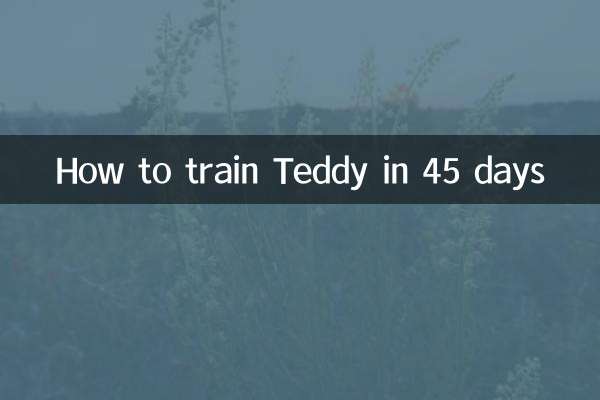 How to train Teddy in 45 days