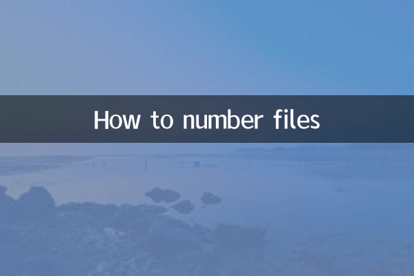 档案怎么编号