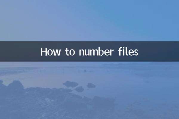 档案怎么编号