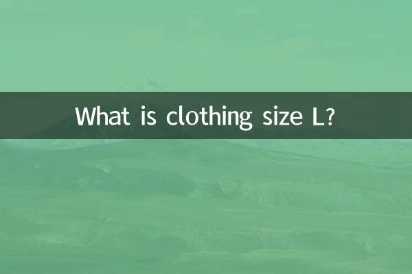 服裝l號是什麼