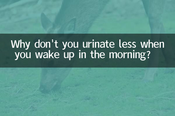 چرا صبح که از خواب بیدار می شوید کمتر ادرار نمی کنید؟