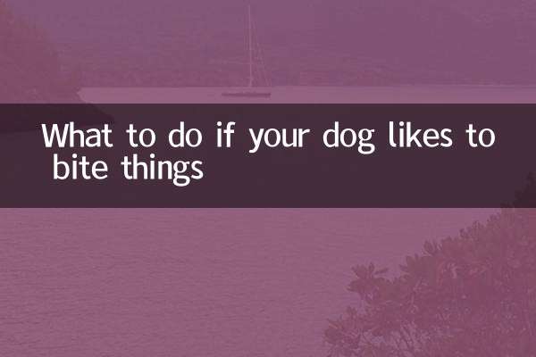 犬が物を噛むのが好きだった場合の対処法