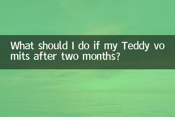 O que devo fazer se meu Teddy vomitar depois de dois meses?
