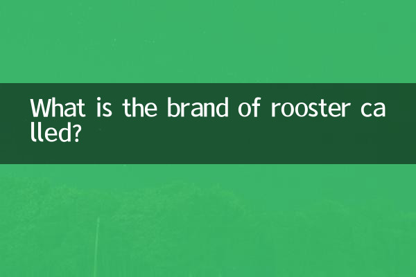수탉의 브랜드는 무엇입니까?
